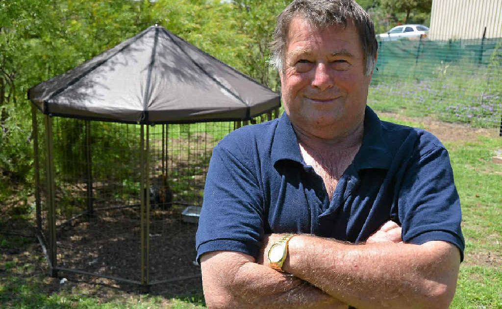 Warren Robinson (pictured) and wife Vicky were horrified to find their prized poultry murdered by dogs. Warren Robinson (pictured) and wife Vicky were horrified to find their prized poultry murdered by dogs.